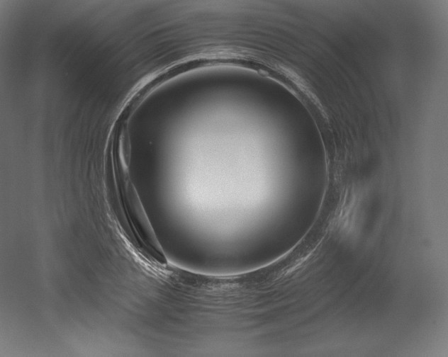 X0000052650837200507011410
