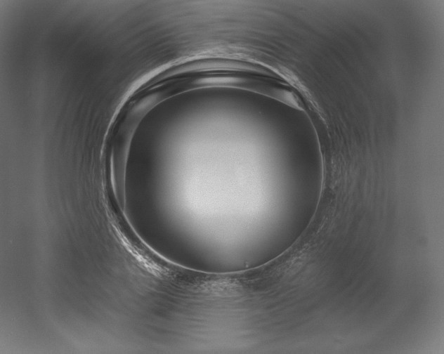 X0000052650838200507011410
