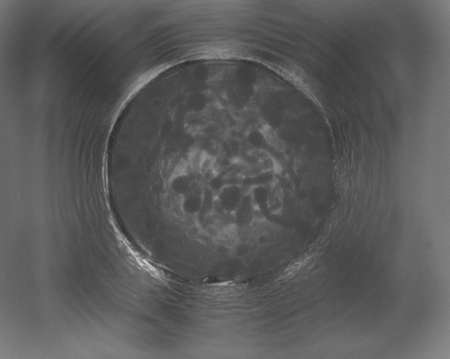 X0000052650839200507011410