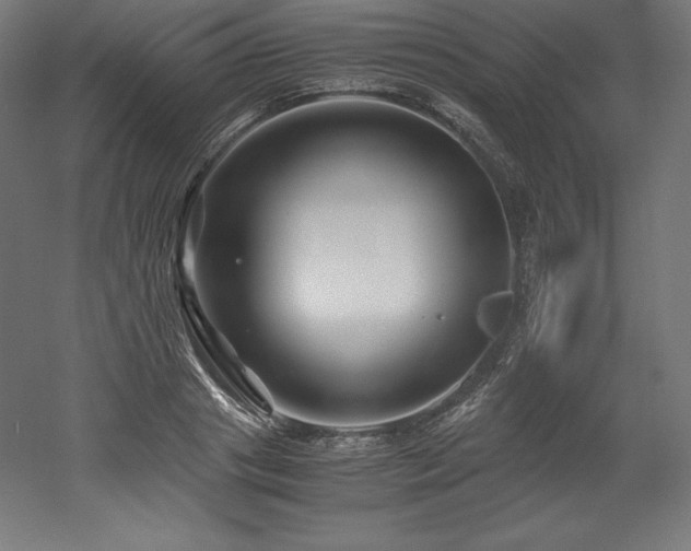 X0000052650841200507011410