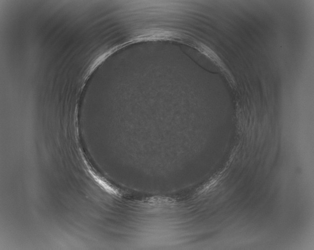 X0000052650842200507011410