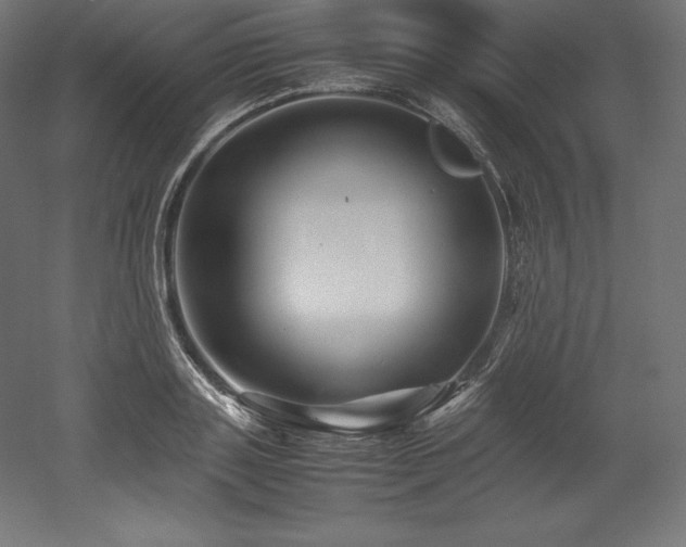 X0000052650843200507011410