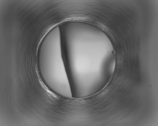 X0000052650844200507011410