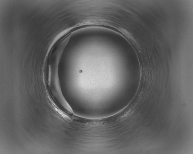 X0000052650846200507011410