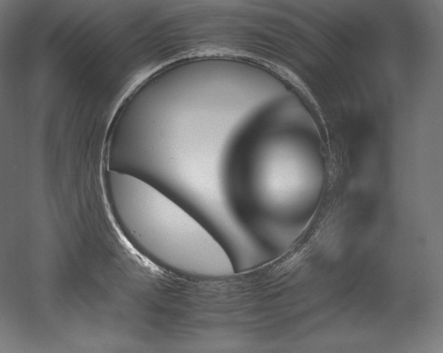 X0000052650847200507011410