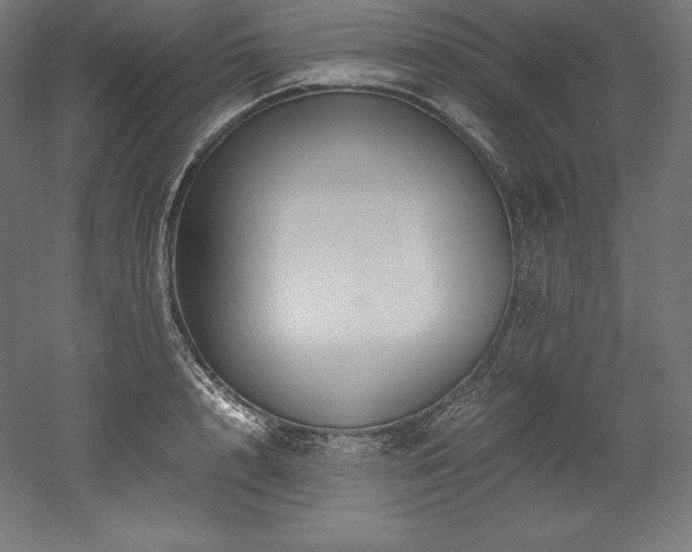 X0000052650848200507011410