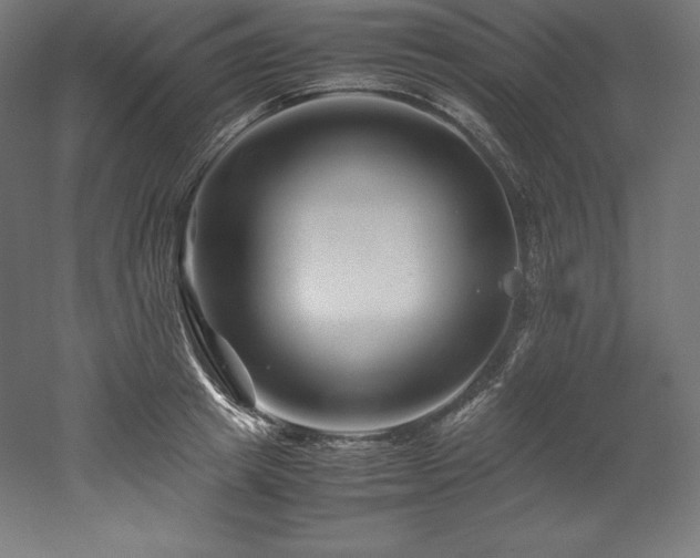 X0000052650849200507011410