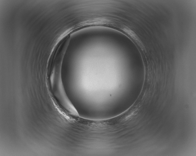 X0000052650850200507011410