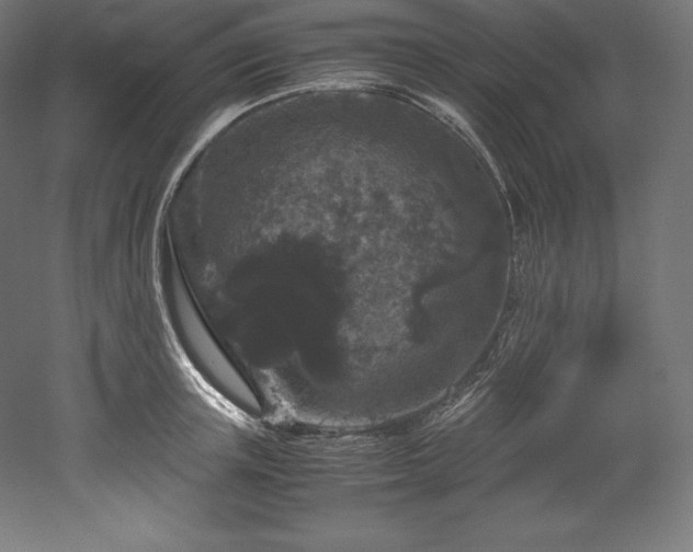 X0000052650851200507011410