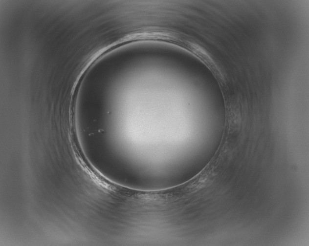 X0000052650852200507011410