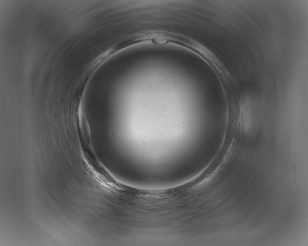 X0000052650857200507011410