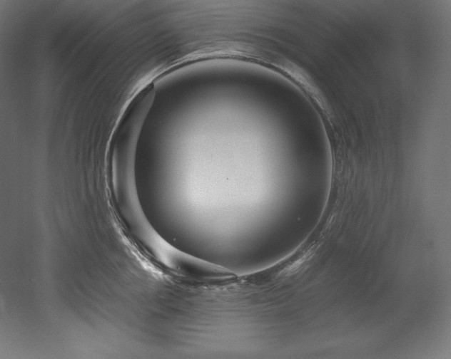 X0000052650858200507011410