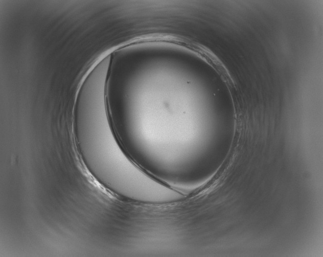 X0000052650860200507011411
