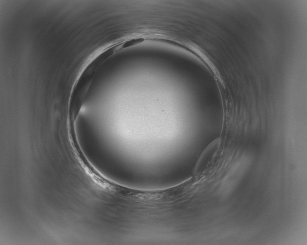 X0000052650861200507011411