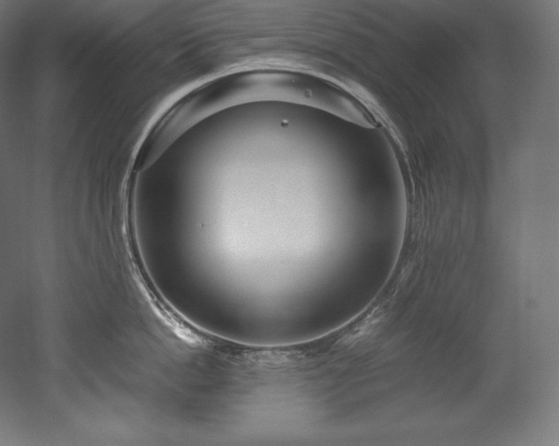 X0000052650862200507011411