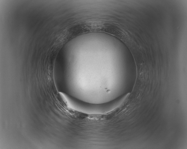 X0000052650866200507011410