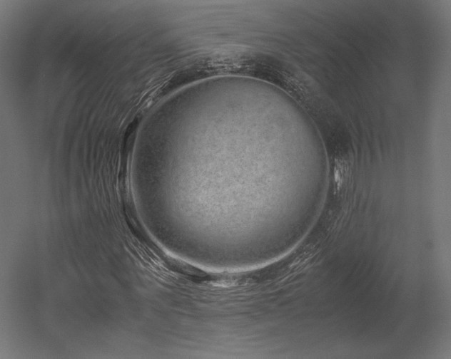 X0000052650867200507011410