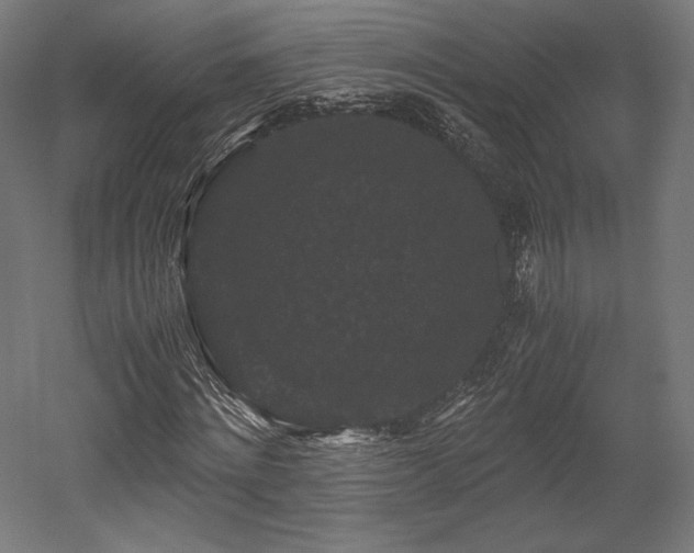 X0000052650868200507011410