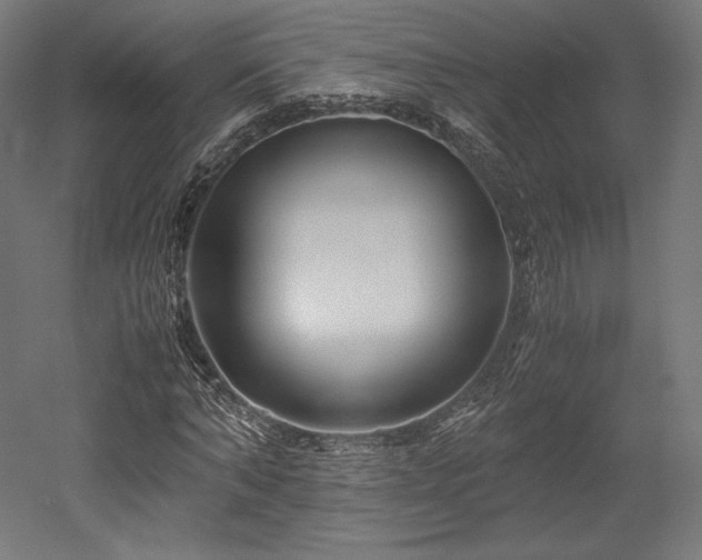 X0000052650870200507011410