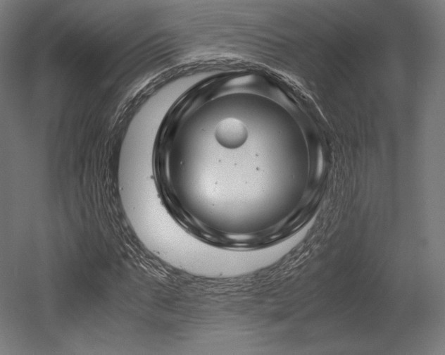 X0000052650871200507011410