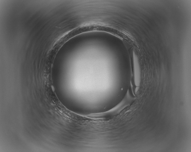 X0000052650872200507011410