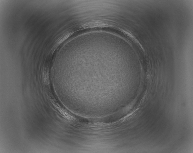 X0000052650873200507011410