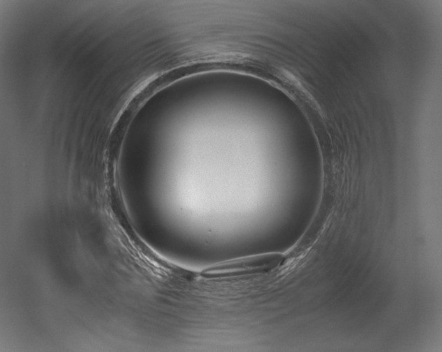 X0000052650875200507011410