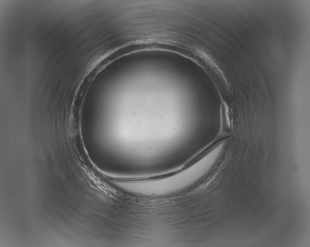 X0000052650876200507011410