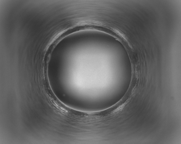 X0000052650877200507011410