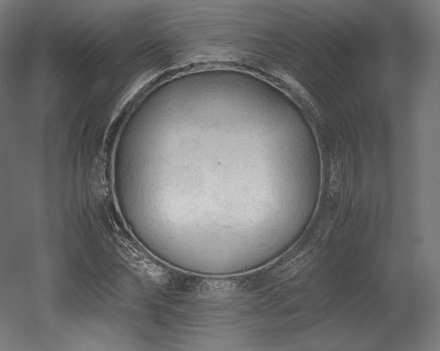 X0000052650878200507011410