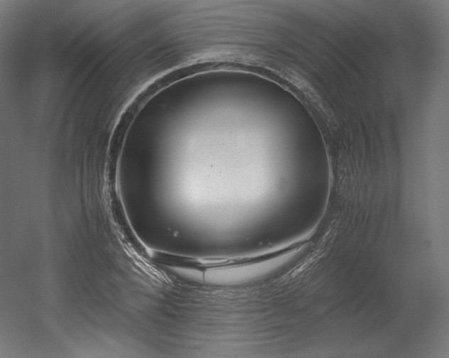 X0000052650880200507011410