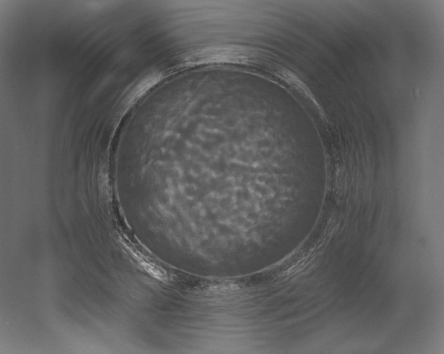X0000052650882200507011409