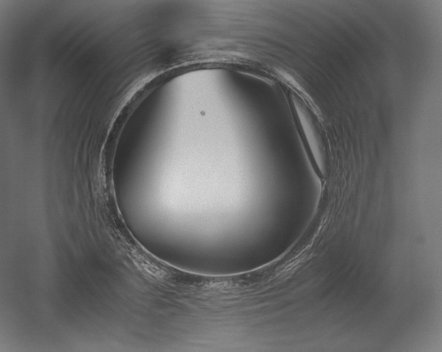 X0000052650883200507011409