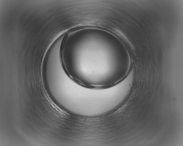 X0000052650884200507011409