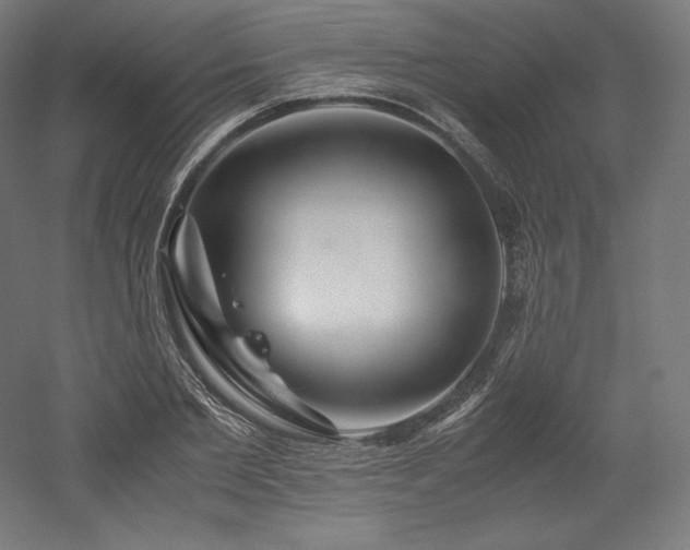 X0000052650885200507011409