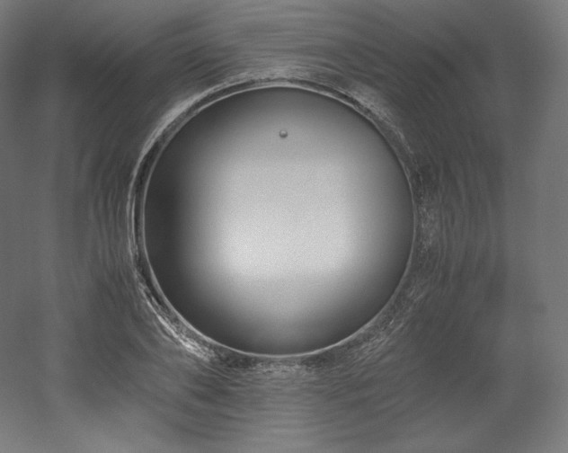 X0000052650886200507011409