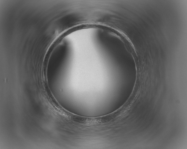 X0000052650887200507011409
