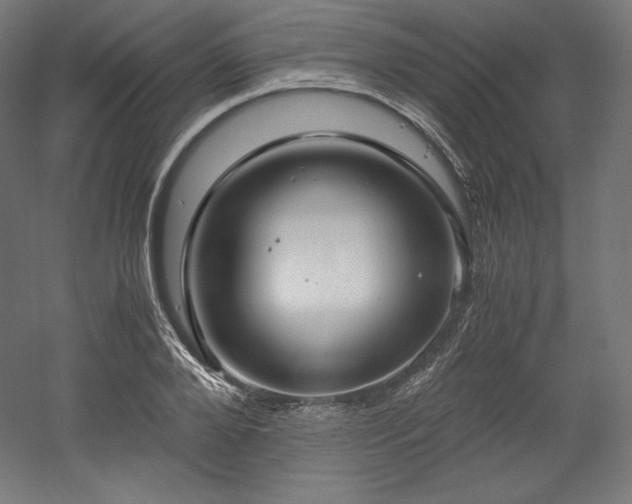 X0000052650888200507011409