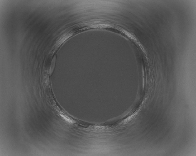 X0000052650889200507011409