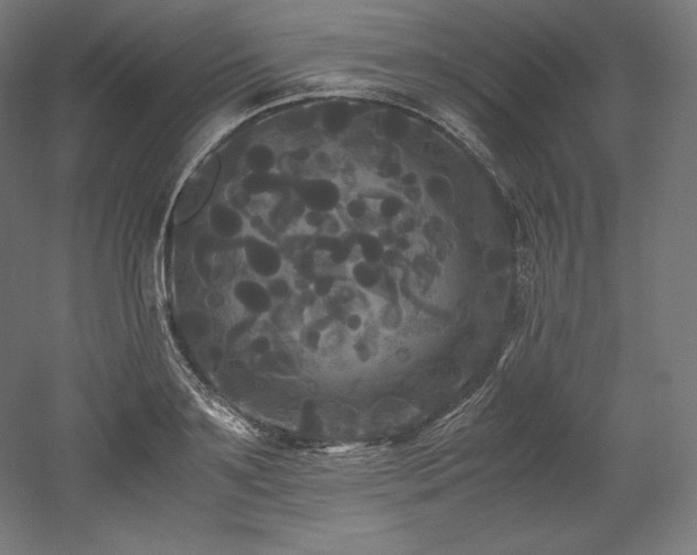 X0000052650891200507011409