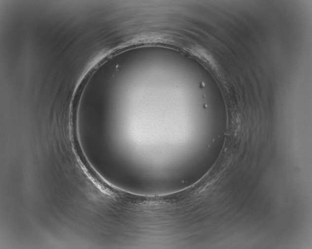 X0000052650894200507011409