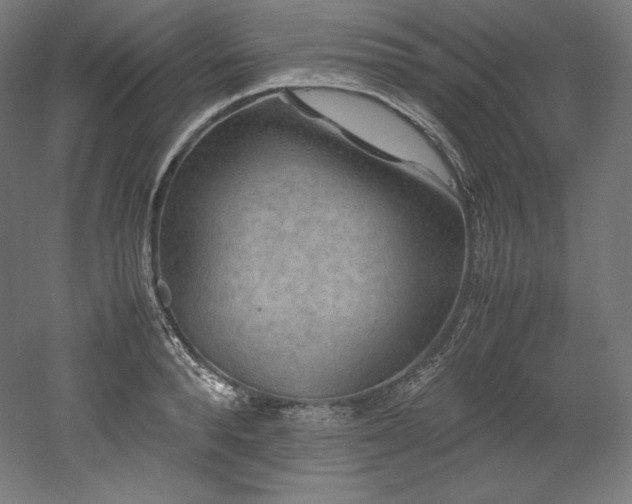 X0000052650896200507011409