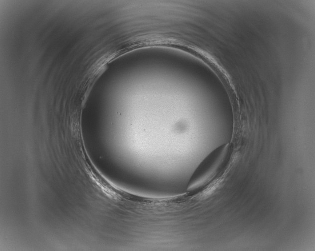 X0000052650897200507011409
