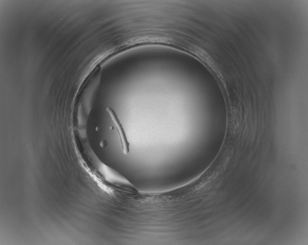 X0000052650898200507011409