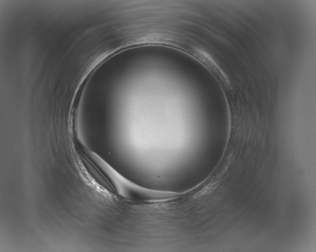 X0000052650900200507011409