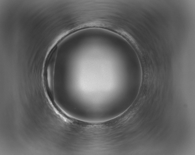 X0000052650902200507011409