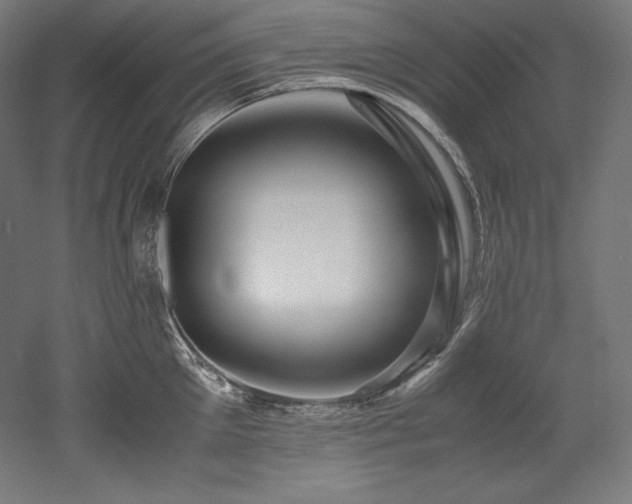 X0000052650905200507011409
