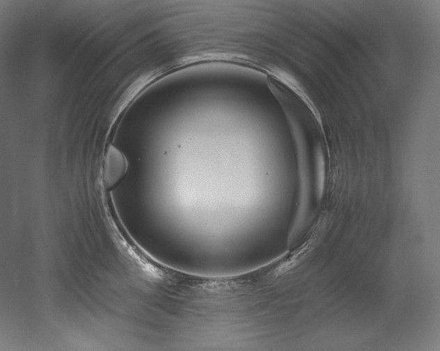 X0000052650906200507011409