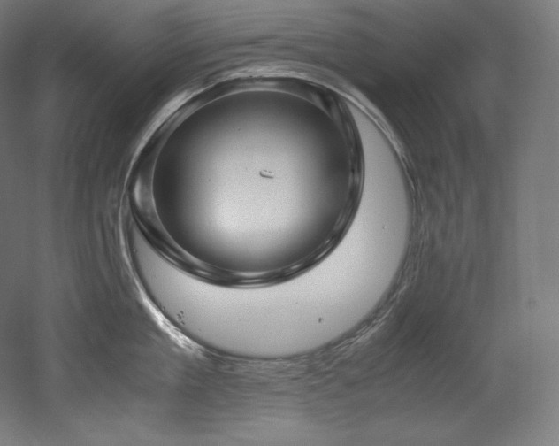 X0000052650909200507011409