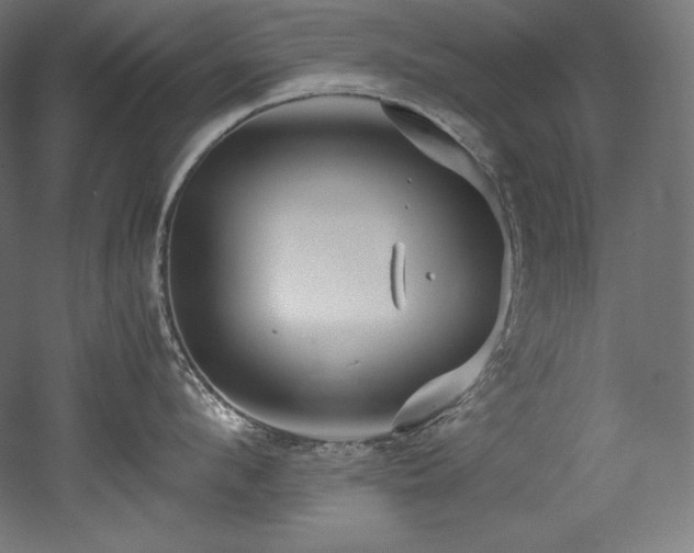 X0000052650912200507011409